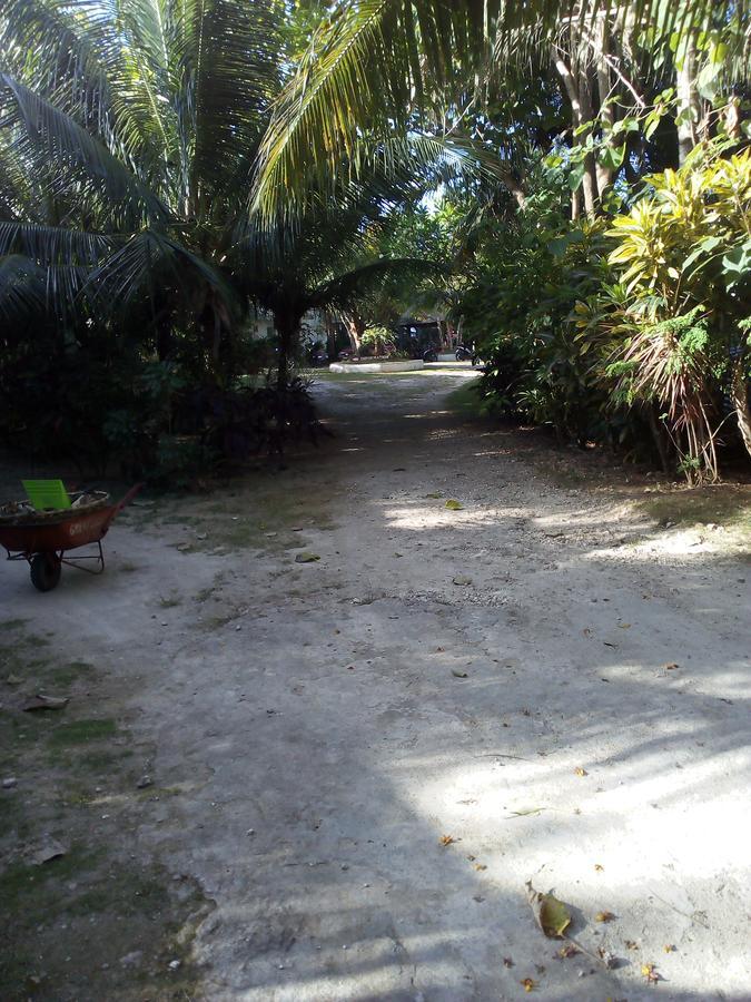 John Lhea Beach Cottages Siquijor Extérieur photo