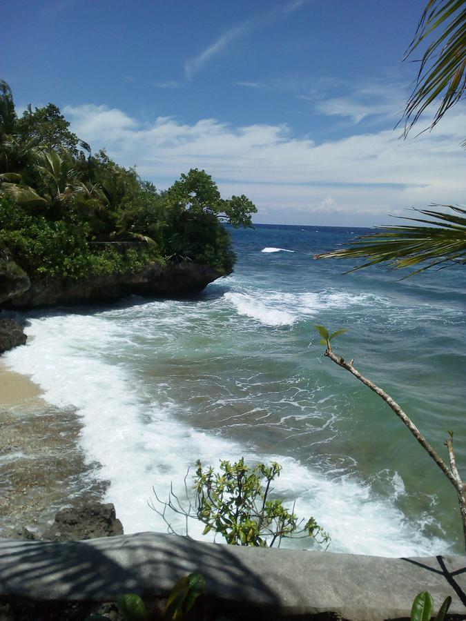 John Lhea Beach Cottages Siquijor Extérieur photo